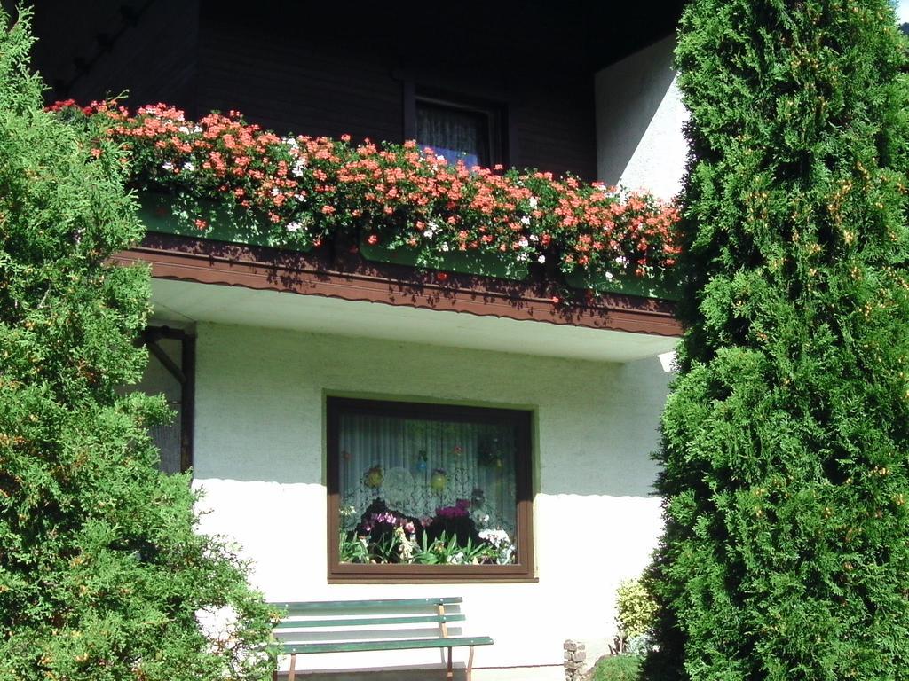 Appartement Ria Bad Kleinkirchheim Exteriör bild